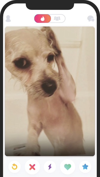 iphone with Dog image