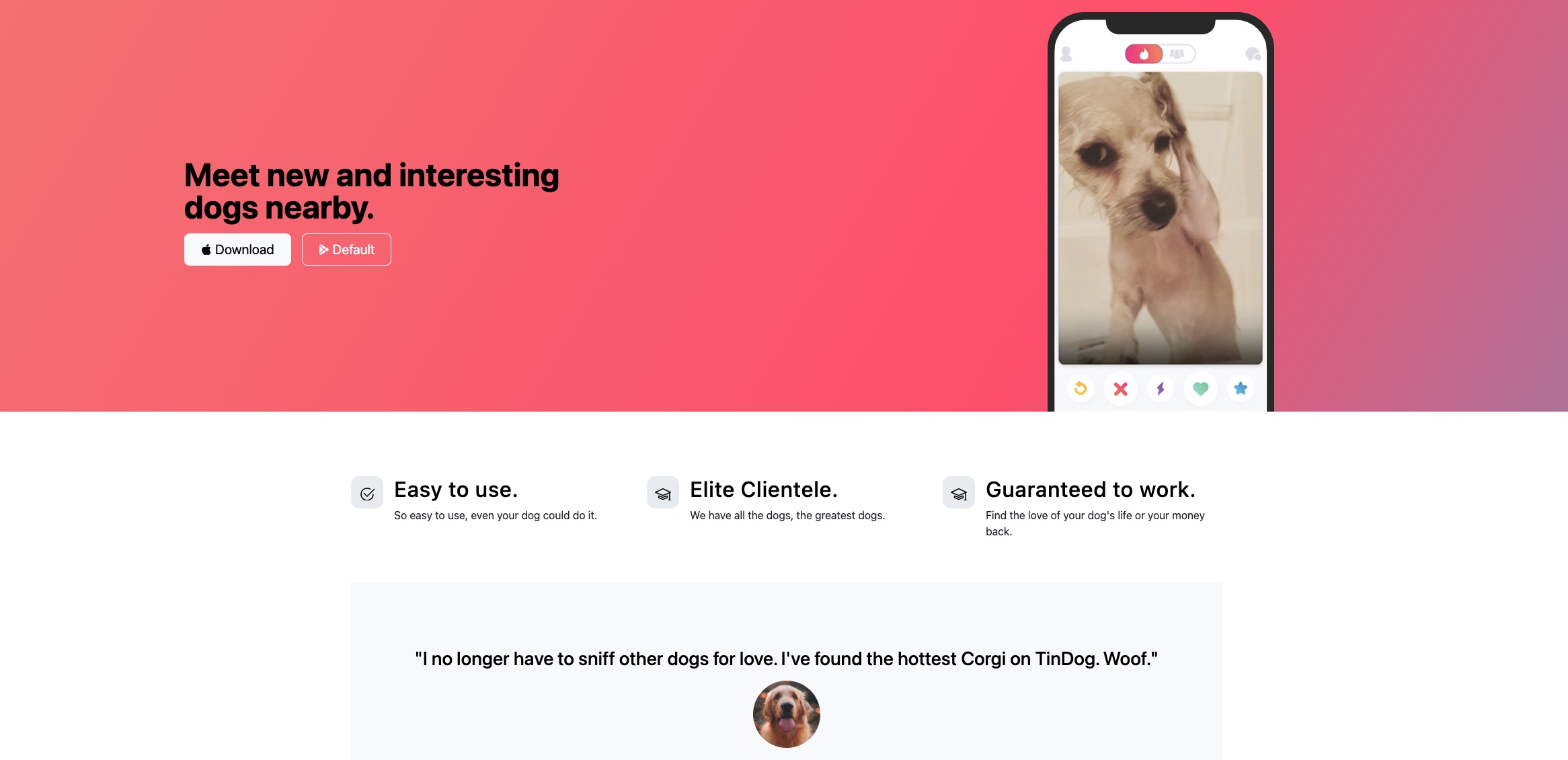 Tindog Website image